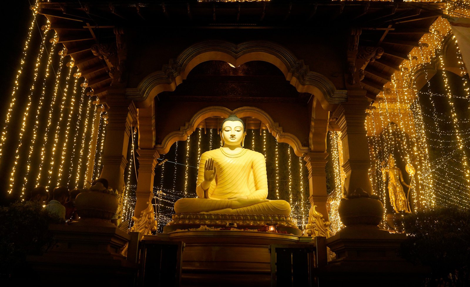 351307305_564019485931637_5049949456576736407_n