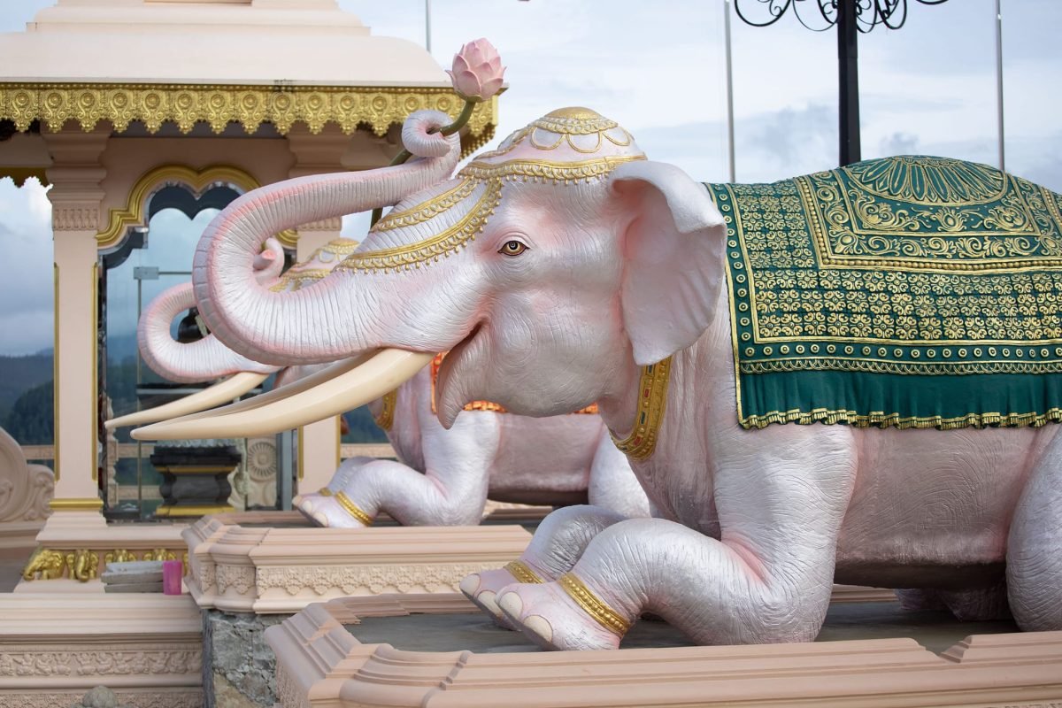 450915296_781234950849130_5462224705018376409_n