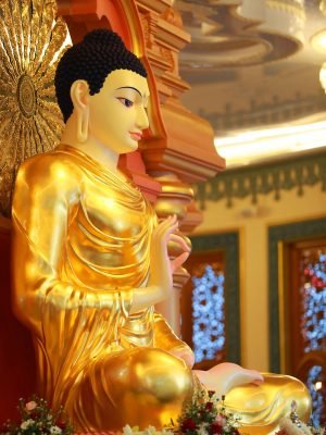 454841693_895671829255493_2546481505559261045_n