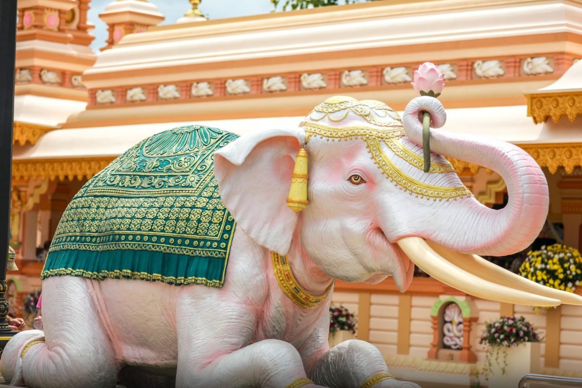 455088514_896338642522145_292445715146325861_n