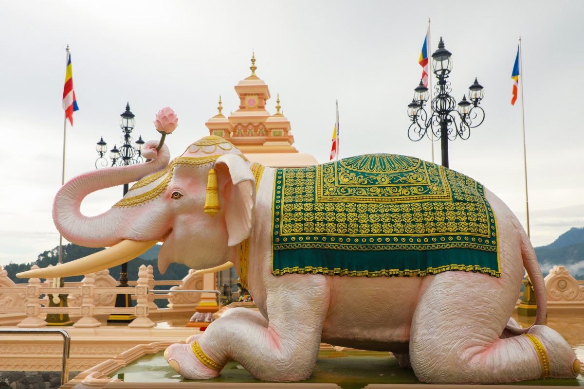 455089442_895672269255449_9113117027805854862_n