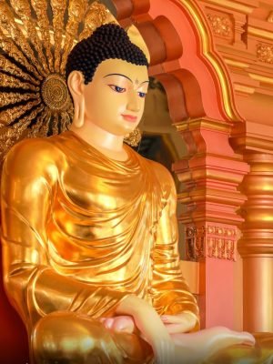 455128375_896338415855501_4242442617238726216_n