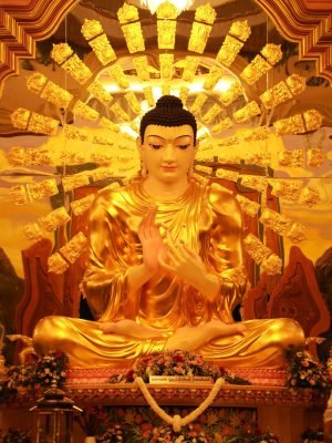 455218173_895671472588862_1174269907279568120_n