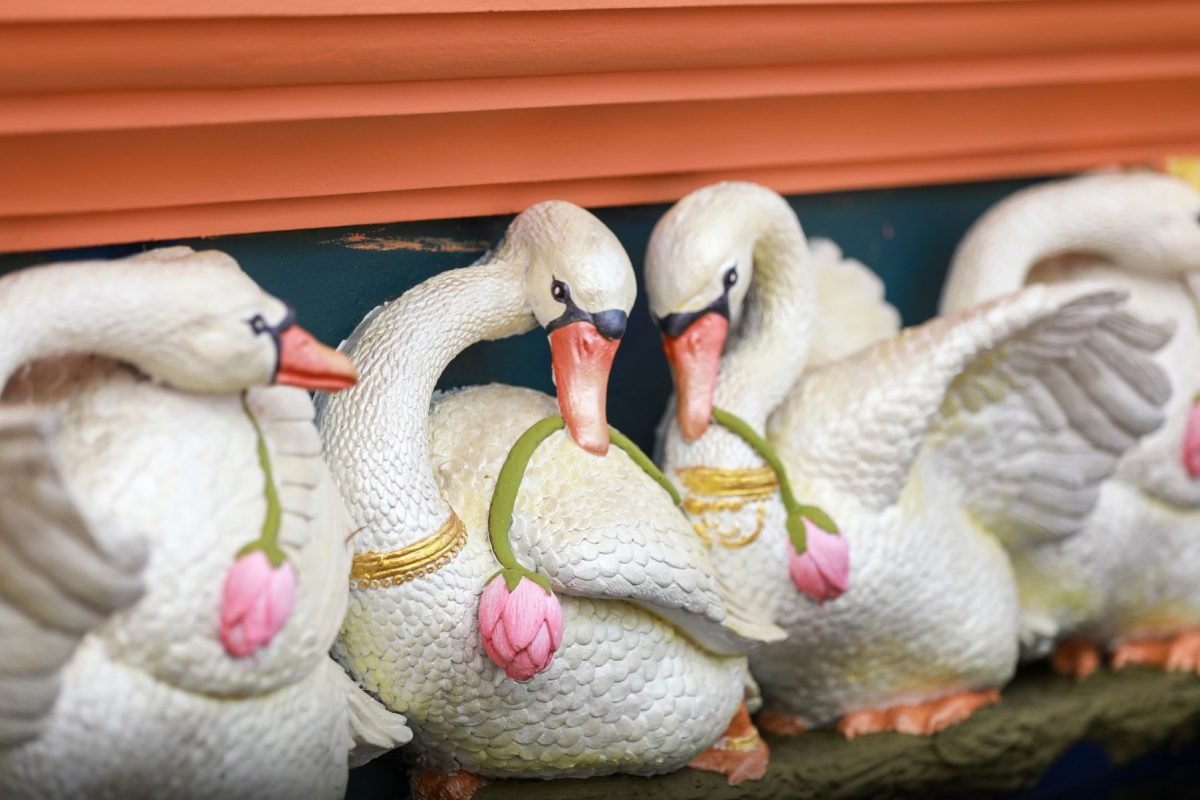 455238832_896337415855601_1251860231667547940_n