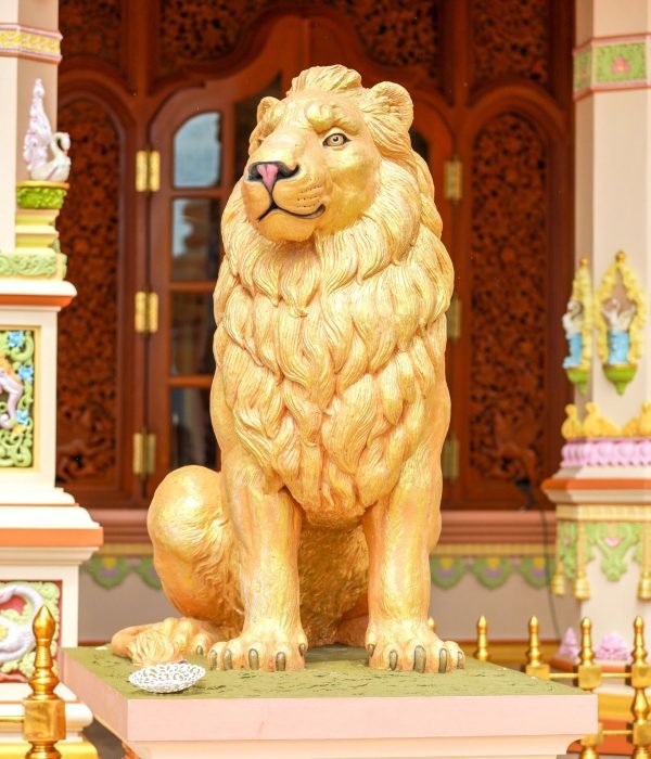 455251953_896337092522300_3928441420306743529_n