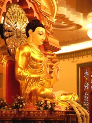 455255633_895671442588865_5407262962120867940_n