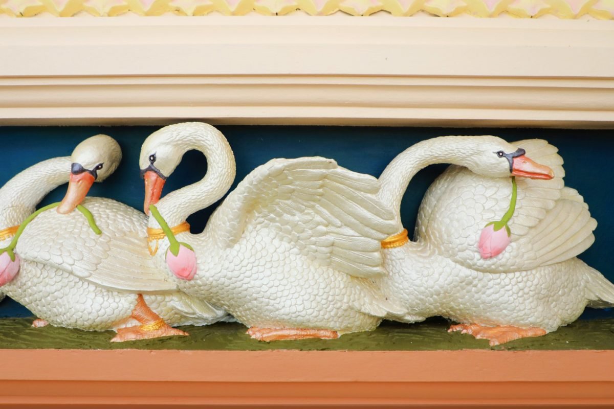 455261902_895921059230570_2688608722825078897_n