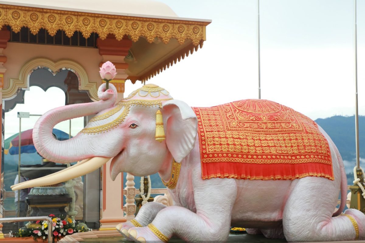 455309753_895921075897235_7455331484957877016_n