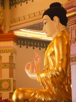 456402295_900859485403394_6288730919194087263_n