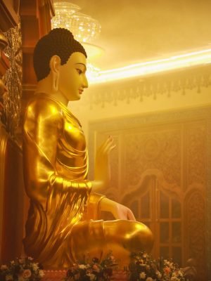 456429352_900858545403488_7059377688159861524_n