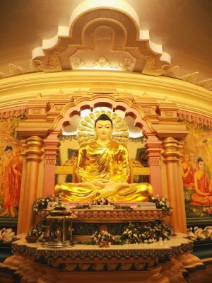 456451056_900858102070199_4978349989195093321_n