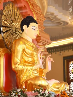 456486586_900859505403392_4959486966334650733_n