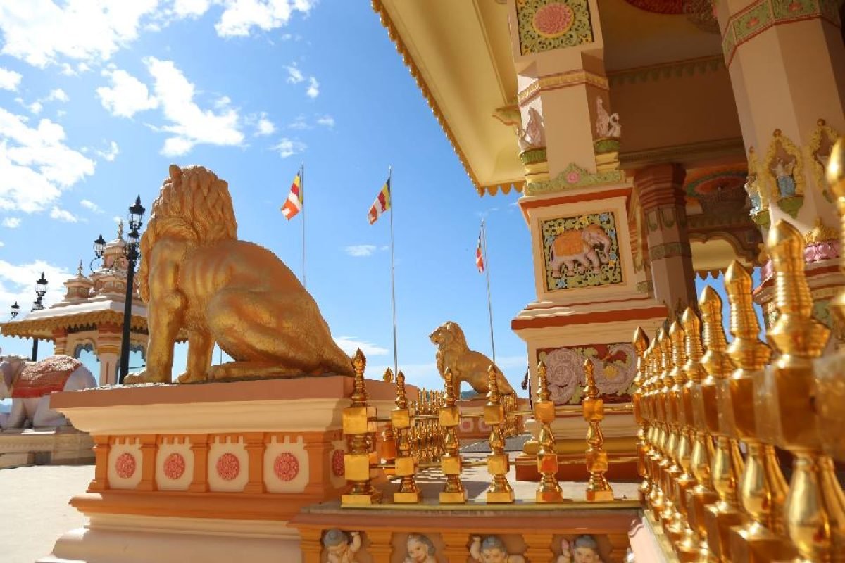 461557945_830052645967360_268385508772248728_n