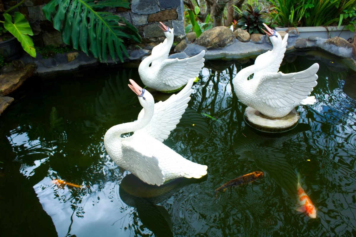 472219146_122118503318607840_2421299349364880794_n